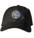 University of North Carolina (UNC) Stealie Dad Hat