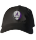 Scranton Stealie Dad Hat