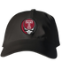 Temple Stealie Dad Hat