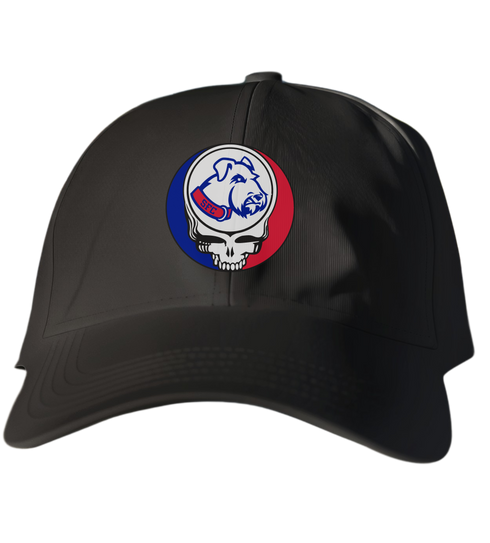 St Francis Stealie Dad Hat
