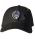 Furman Stealie Dad Hat