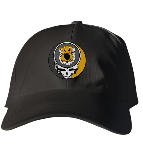 Missouri Stealie Dad Hat