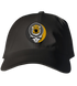 Missouri Stealie Dad Hat
