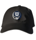 Butler Stealie Dad Hat