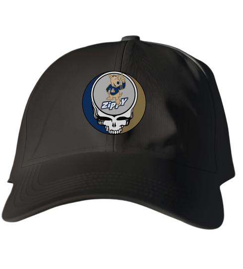 University of Akron Stealie Dad Hat