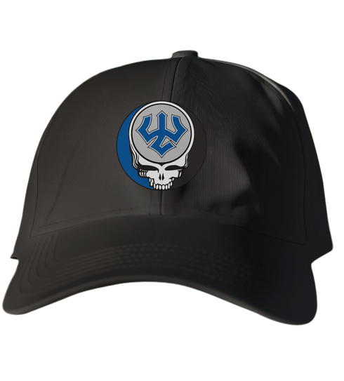 Washington Lee Stealie Dad Hat