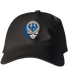 Washington Lee Stealie Dad Hat