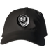 Brooklyn Nets Stealie Dad Hat