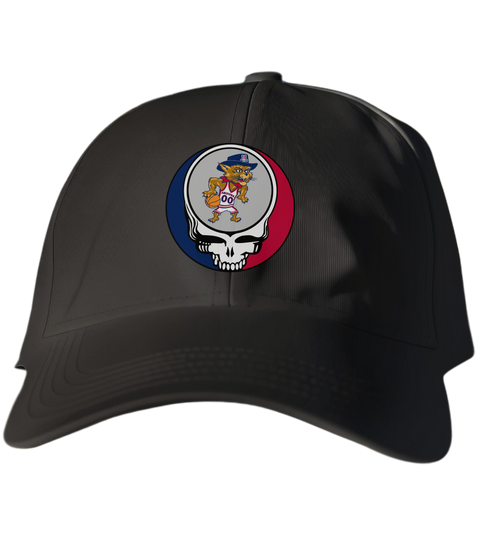 University of Arizona Stealie Dad Hat
