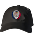 University of Arizona Stealie Dad Hat