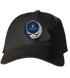 Augusta University Stealie Dad Hat