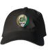UNC Charlotte Stealie Dad Hat