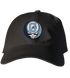 Citadel Stealie Dad Hat