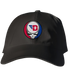 Dayton Stealie Dad Hat