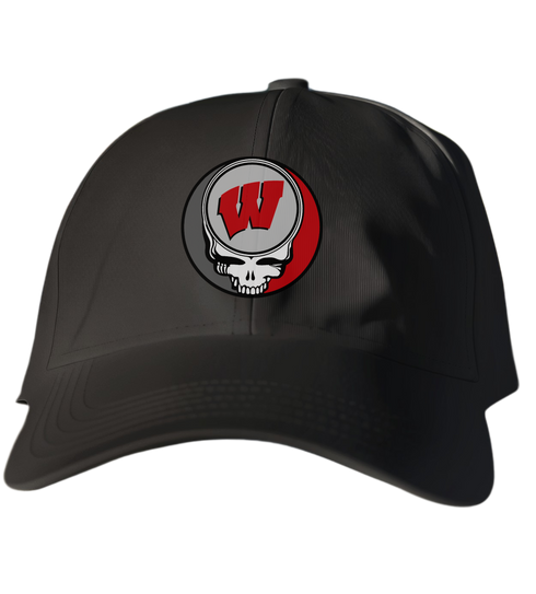 University of Wisconsin Stealie Dad Hat