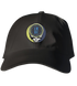 Philly Connect Stealie Dad Hat
