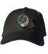 Cleveland State Stealie Dad Hat