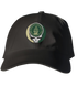 Babson Stealie Dad Hat