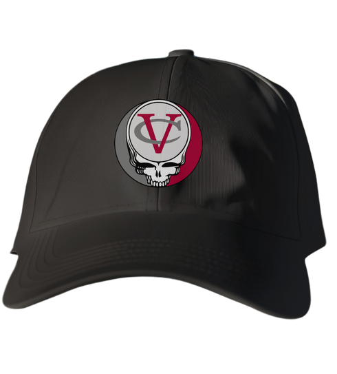 Vassar Stealie Dad Hat