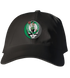 Boston Celtics Leprechaun Stealie Dad Hat