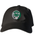 Babson Stealie Dad Hat