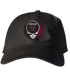 Albany Collegy of Pharmacy Stealie Dad Hat
