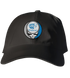 Widener Stealie Dad Hat