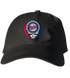 Minnesota Twins Stealie Dad Hat