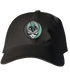 New York Liberty Stealie Dad Hat