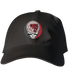 Bridgewater State Stealie Dad Hat
