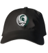 Michigan State Stealie Dad Hat