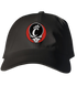 University of Cincinnati Stealie Dad Hat