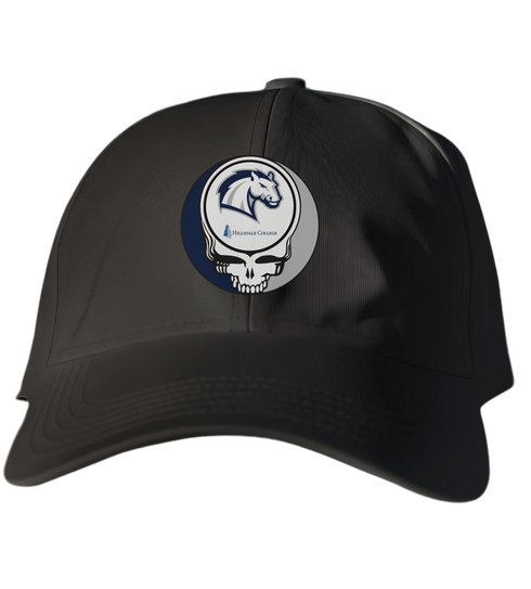 Hillsdale College Stealie Dad Hat