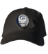 Hillsdale College Stealie Dad Hat