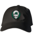 Tulane Stealie Dad Hat