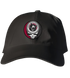 Lenoir Rhyne Stealie Dad Hat