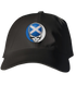 Scotland FIFA World Cup Stealie Dad Hat