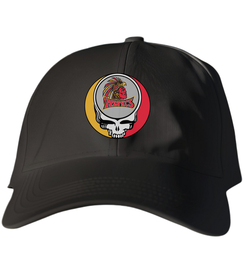 San Diego State University Stealie Dad Hat