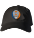 Illinois Stealie Dad Hat