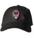 Missouri State Stealie Dad Hat