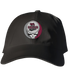 Chico State Stealie Dad Hat