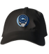 Roger Williams Stealie Dad Hat