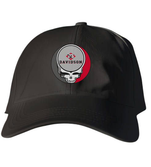 Davidson Stealie Dad Hat