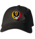 NMMI Stealie Dad Hat