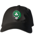 Boston Celtics Shamrock Stealie Dad Hat
