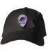 Amherst College Stealie Dad Hat