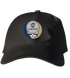 Hamilton Stealie Dad Hat