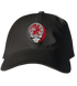 Reed College Stealie Dad Hat