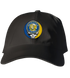 Hofstra Stealie Dad Hat