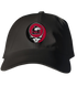NIU Stealie Dad Hat
